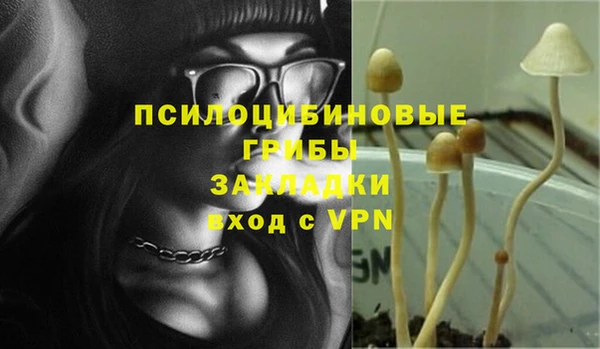 тгк Абинск