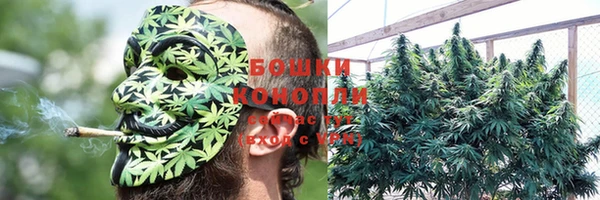 каннабис Алексин