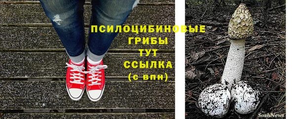 гидропоника Абаза